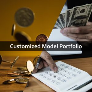 Customized Model Portfolio
